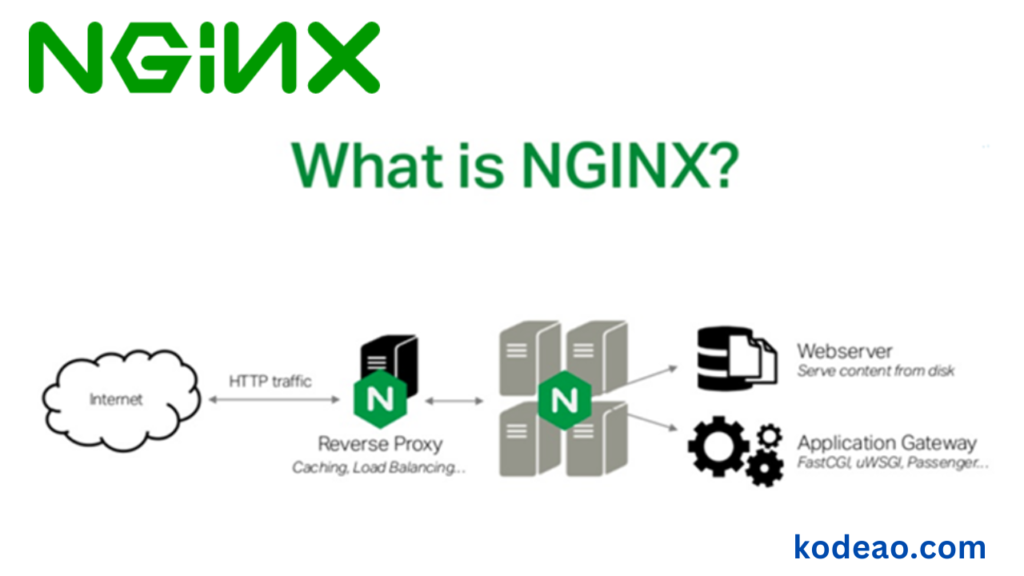 install and set up Nginx